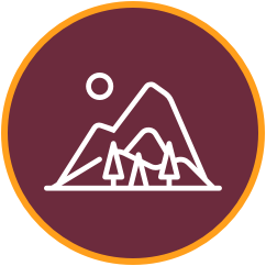 Icon of Field Trips