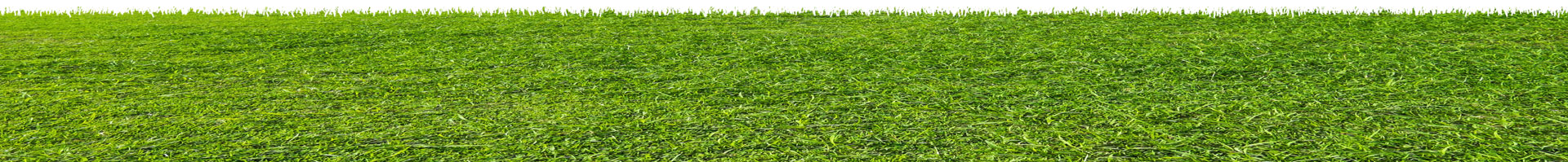 Background image of grass