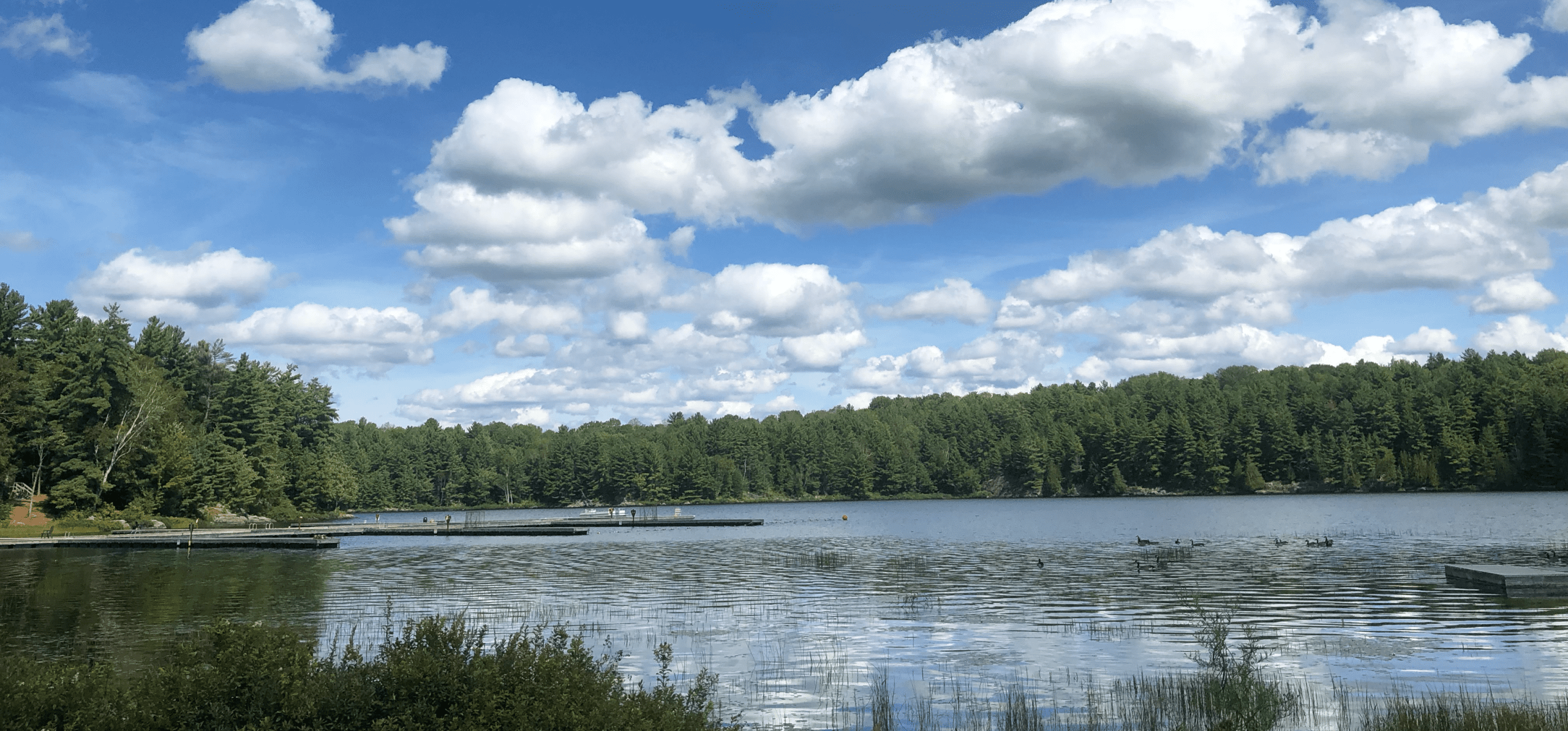Lake at Camp Tamarack