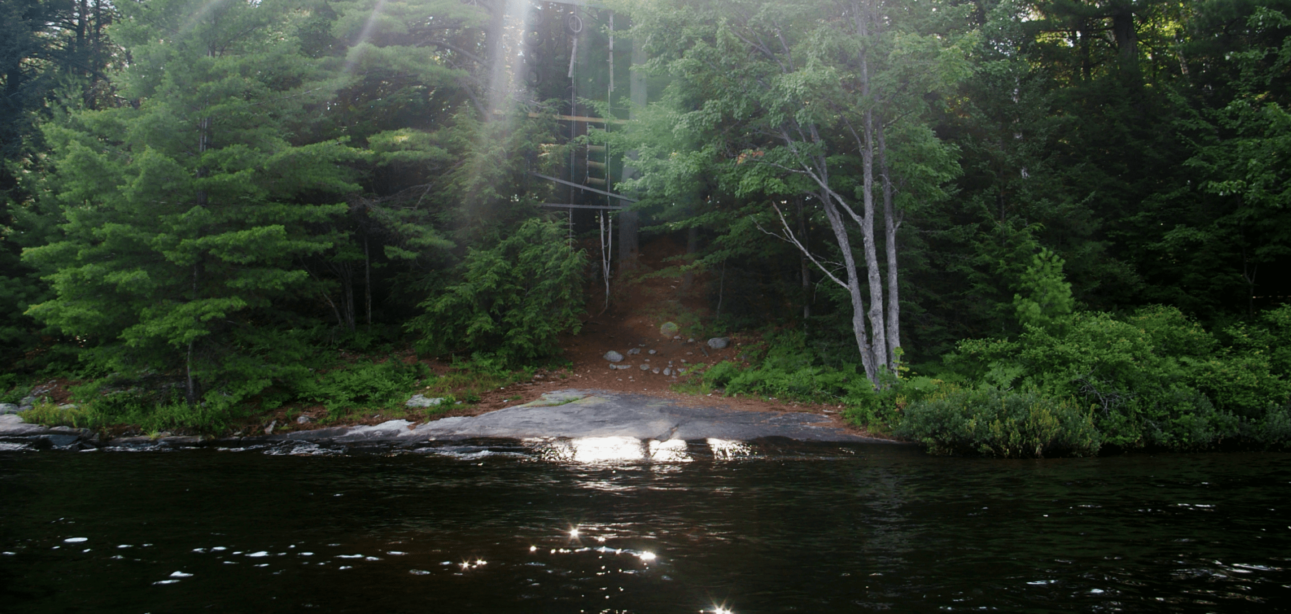 Wilderness at Camp Tamarack